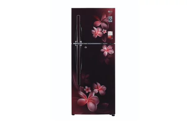 LG 260 L 3 Star Inverter Linear Frost-Free Double Door (GL-T292RSPX.DSPZEBN)