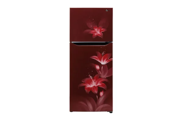 LG 260 L 2 Star ConvertiblePLUS Double Door Refrigerator (GL-T292SRGY.ARGZEBN)