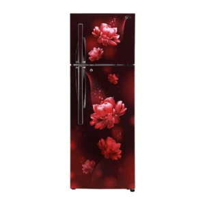 LG 284L ConvertiblePLUS Fridge with Smart Inverter (GL-T302RSCY.ASCZEBN)