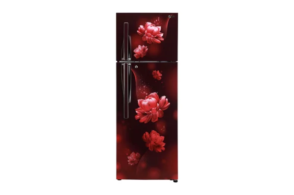 LG 284L ConvertiblePLUS Fridge with Smart Inverter (GL-T302RSCY.ASCZEBN)