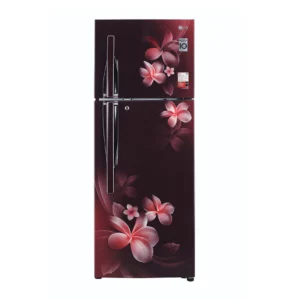 LG 284L Convertible Smart Diagnosis Auto Smart Connect Double Door Refrigerator (GL-T302RSPX.ASPZEBNGL-T302RSPX.ASPZEBN)