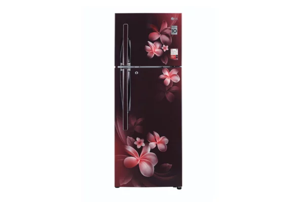 LG 284L Convertible Smart Diagnosis Auto Smart Connect Double Door Refrigerator (GL-T302RSPX.ASPZEBNGL-T302RSPX.ASPZEBN)