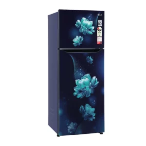 LG 284L Convertible+ Smart Inverter Compressor Fridge (GL-T302SBCY.ABCZEBN)
