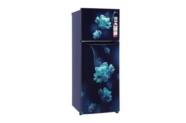 LG 284L Convertible+ Smart Inverter Compressor Fridge (GL-T302SBCY.ABCZEBN)