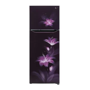 LG 284 L ConvertiblePLUS Fridge with Smart Inverter Compressor (GL-T302SPGY.APGZEBN)
