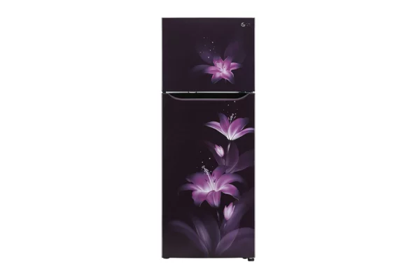 LG 284 L ConvertiblePLUS Fridge with Smart Inverter Compressor (GL-T302SPGY.APGZEBN)