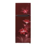 LG 284 L ConvertiblePLUS Fridge with Inverter Linear Compressor, Door Cooling (GL-T302SRG3.ARGZEBN)