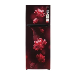 LG 284L Smart Inverter Compressor , Door Cooling Smart Diagnosis Refrigerator (GL-T302SSCY.ASCZEBN)