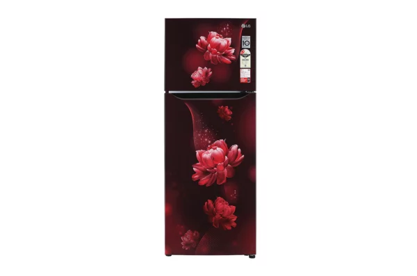 LG 284L Smart Inverter Compressor , Door Cooling Smart Diagnosis Refrigerator (GL-T302SSCY.ASCZEBN)