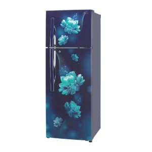 LG 308L Fridge with Smart Inverter Compressor , Door Cooling (GL-T322RBCX.ABCZEBN)