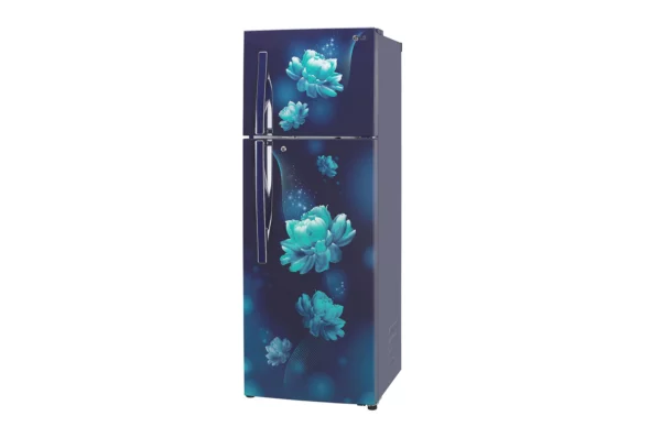 LG 308L Fridge with Smart Inverter Compressor , Door Cooling (GL-T322RBCX.ABCZEBN)