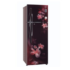 LG 308L Convertible+ with Smart Inverter Compressor Fridge (GL-T322RSPX.ASPZEBN)