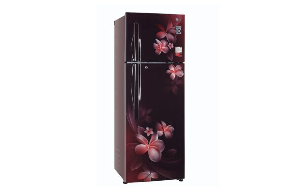 LG 308L Convertible+ with Smart Inverter Compressor Fridge (GL-T322RSPX.ASPZEBN)