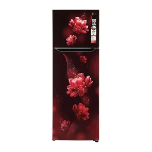 LG 308L Double Door Smart Inverter ConvertiblePLUS Fridge (GL-T322SSCY.ASCZEBN)