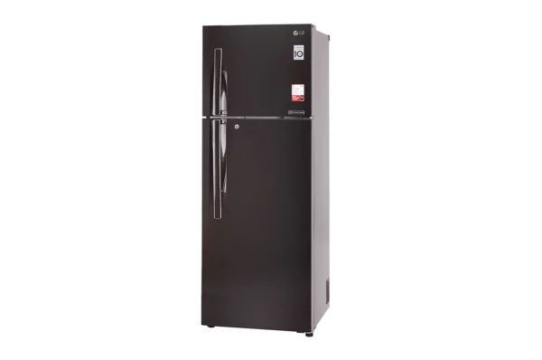 LG 335 L 3 Star Inverter Frost-Free Double Door Refrigerator (GL-T372JRS3.DRSZEBN)