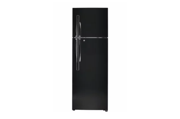 LG 360L Smart Diagnosis, Auto Smart Connect Double Door Refrigerator (GL-T402JES3.EESZEBN)