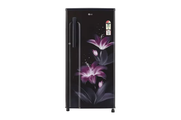LG188 L, Smart Inverter Compressor (GL-B191KPGX.APGZEBN)