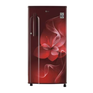 LG188 L, Smart Inverter Compressor (GL-B191KSDX.DSDZPST)