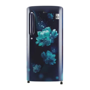 LG190 L, Smart Inverter Compressor (GL-B201ABCY.ABCZEBN)