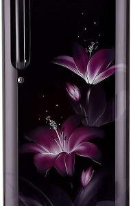 LG 190 L Direct Cool Single Door 4 Star Refrigerator (GL-B201ABGY.ABGZEBN)