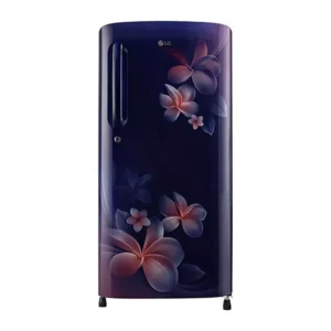 LG 190 L, Smart Inverter Compressor (GL-B201ABPX.ABPZEBN)