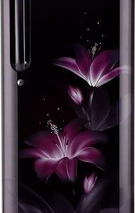 LG 190 L Direct Cool Single Door 4 Star Refrigerator (GL-B201APGD.APGZEBN)