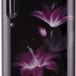 LG 190 L 4 StarDirect Cool Single Door Refrigerator (GL-B201APGX.APGZEBN)