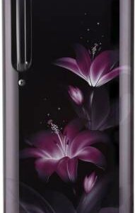 LG 190 L 4 StarDirect Cool Single Door Refrigerator (GL-B201APGX.APGZEBN)