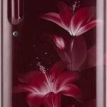 LG 190 L Direct Cool Single Door 3 Star Refrigerator (GL-B201ARGX.ARGZEBN)