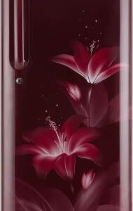 LG 190 L Direct Cool Single Door 3 Star Refrigerator (GL-B201ARGX.ARGZEBN)