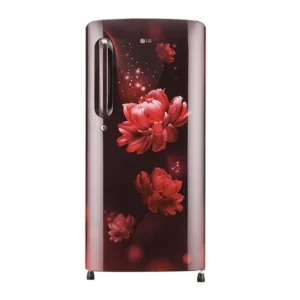 LG 190 L, Smart Inverter Compressor (GL-B201ASCX.ASCZEBN)