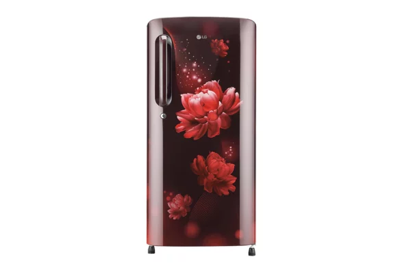 LG 190 L, Smart Inverter Compressor (GL-B201ASCY.ASCZEBN)