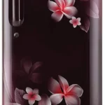 LG 190 L 4 Star Inverter Direct-Cool Single Door Refrigerator (GL-B201ASPZ.BSPZEBN)