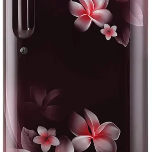 LG 190 L 4 Star Inverter Direct-Cool Single Door Refrigerator (GL-B201ASPZ.BSPZEBN)