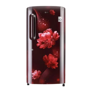LG 215 L, Smart Inverter Compressor (GL-B221ASCZ.DSCZEBN)