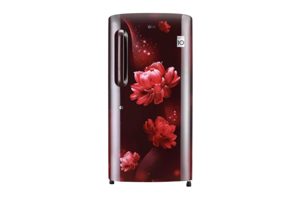 LG 215 L, Smart Inverter Compressor (GL-B221ASCZ.DSCZEBN)