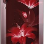 LG 270 L 3 Star Inverter Direct Cool Single Door Refrigerator (GL-B281BRGX.DRGZEBN)