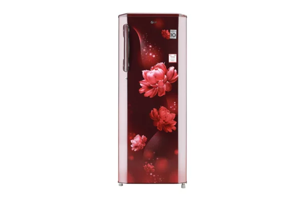 LG 270 L, Smart Inverter Compressor (GL-B281BSCX.DSCZEBN)