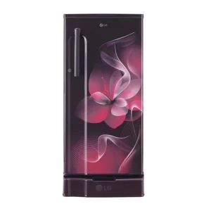 LG 188 L, Fastest In Ice Making, Toughened Glass Shelves (GL-D191KPDD.DPDZPST)