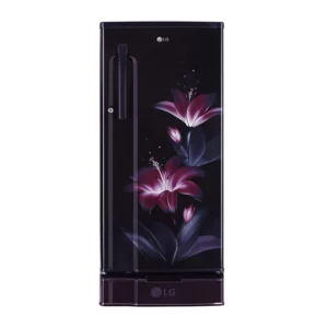 LG 188 L, Fastest In Ice Making, Toughened Glass Shelves (GL-D191KPGD.DPGZPST)