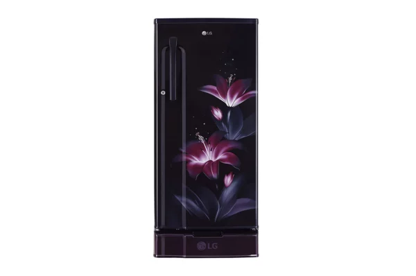 LG 188 L, Fastest In Ice Making, Toughened Glass Shelves (GL-D191KPGD.DPGZPST)