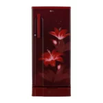 LG 188 L, Fastest In Ice Making, Toughened Glass Shelves (GL-D191KRGD.DRGZPST)