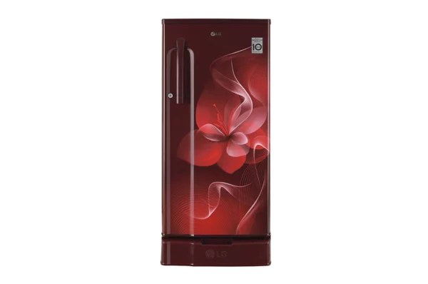 LG 188 L, Smart Inverter Compressor (GL-D191KSDX.DSDZPST)