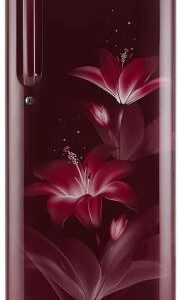 LG 190 L 3 Star Direct Cool Single Door Refrigerator (GL-D201ARGX.ARGZEBN)