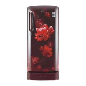 LG 190 L, Smart Inverter Compressor (GL-D201ASCX.ASCZEBN)