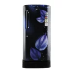 LG 215 L, Smart Inverter Compressor (GL-D221AEVY.DEVZEBN)