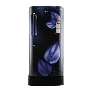 LG 215 L, Smart Inverter Compressor (GL-D221AEVY.DEVZEBN)