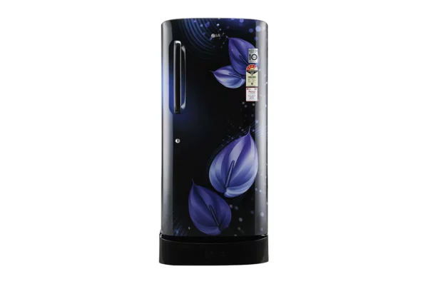 LG 215 L, Smart Inverter Compressor (GL-D221AEVY.DEVZEBN)