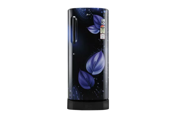 LG 235 L, Smart Inverter Compressor (GL-D241AEVY.DEVZEBN)