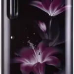 Lg 235 Litres 5 Star GL D241APGZ Direct Cool Single Door Refrigerator (GL-D241APGZ.DPGZEBN)